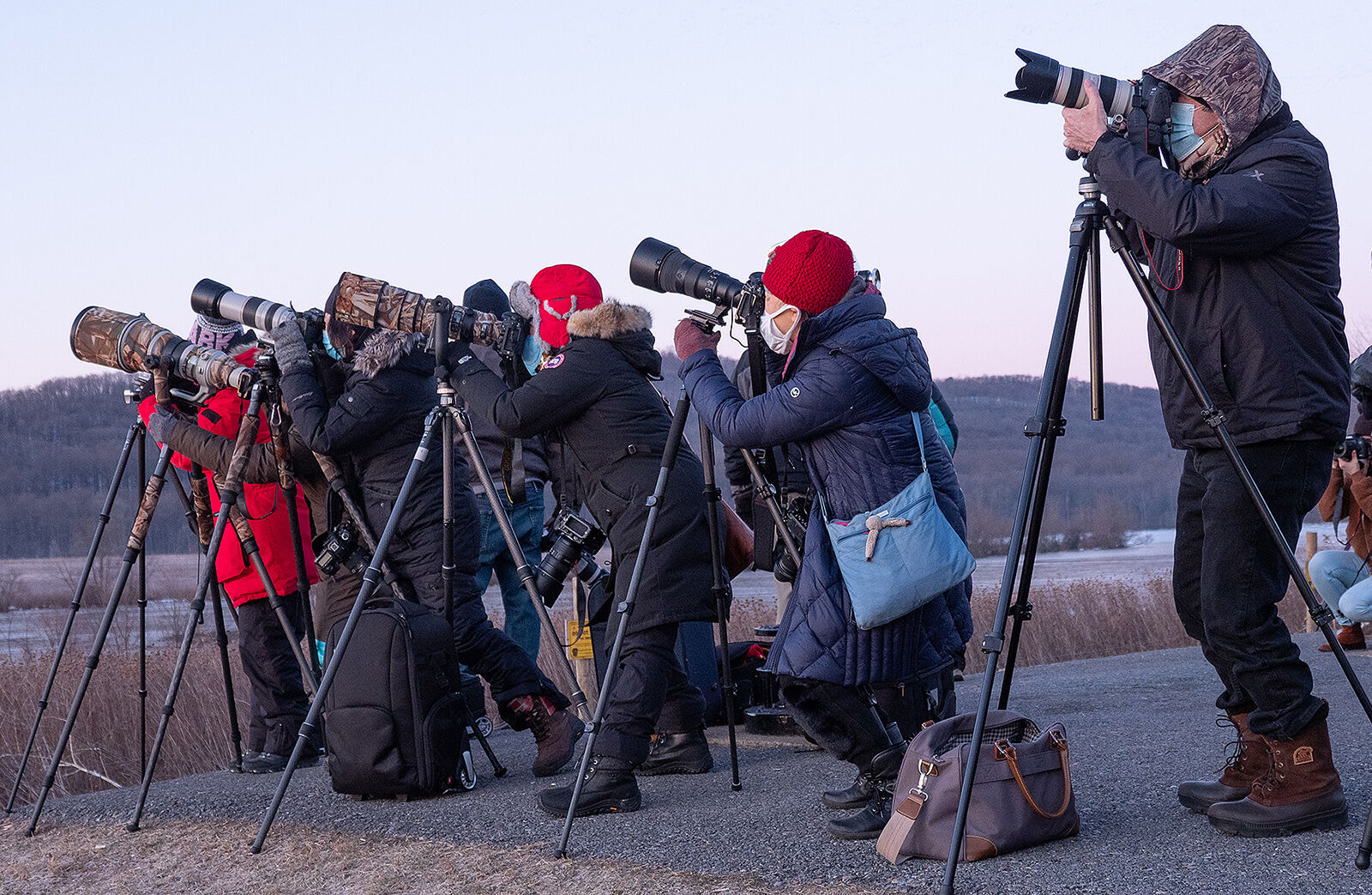 Bird photographers